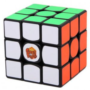 gans357